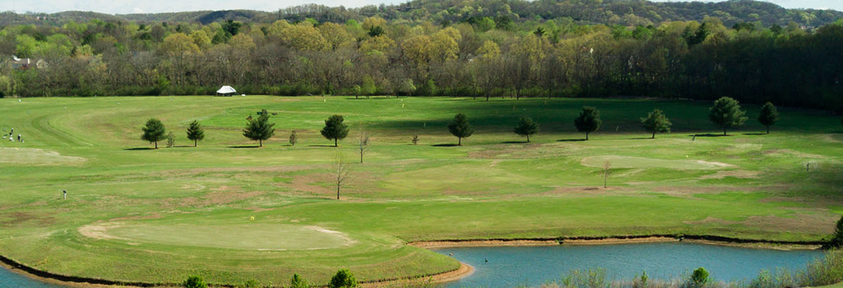 view of the green