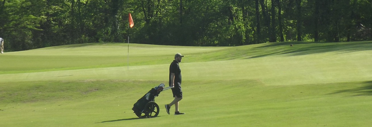 golfer with cart on the green